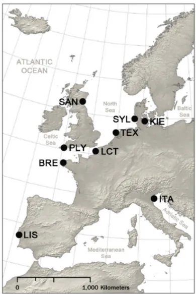 Figure 2. Map showing nine M. arenaria sampling locations across Europe: Comacchio, Italy (ITA);
