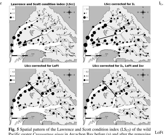 Fig. 5 Spatial pattern of the Lawrence and Scott condition index (LS CI ) of the wild  Pacific oyster Crassostrea gigas in Arcachon Bay before (a) and after the removing  of the Immersion level (I L , b), the Local oceanic Flushing time (LoFt, c) effects a