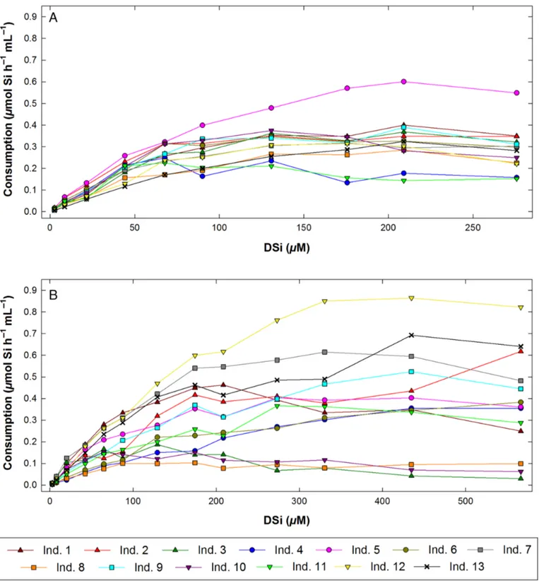 Fig. 4. Consumption rates (μmol Si h −1 mL −1 ) of each individual of (A) H. simulans and (B) S