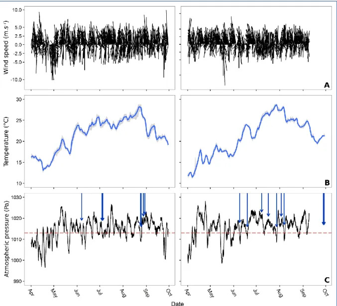 Figure  3:  Wind  velocities  and  direction  (A),  water  temperature,  averaged  for  the  3  sampled  stations,  min-max  range  being  represented  as  a  shadow  area  behind  temperature  (B),  and  atmospheric  pressure  at  a  3h  resolution  (C)  