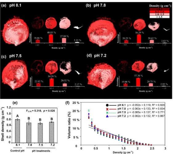 Figure 6. Effects of low pH on the shell density map (a–d), overall density (e), and shell density–volume ratio relationships (f) for the four experimental pH treatment groups were examined by micro-CT of shells of Magallana angulata