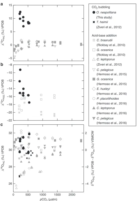 Fig. 4 Stable carbon and oxygen isotopes of O. neapolitana compared to other coccolithophore species