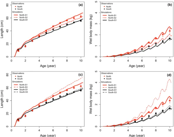 Fig. 7. Observed vs. simulated (a) length at age and (b) total wet mass at age. Each point corresponds to a year in the life of individuals born each year between 1990 and 2004 in the nGSL (red) and the sGSL (black) and modelled until age 10 years under  s