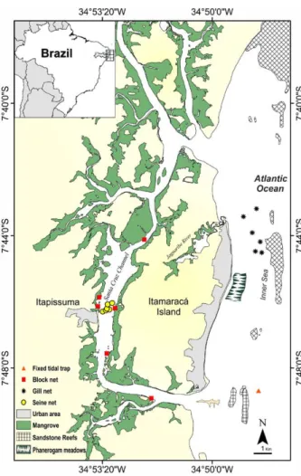 Fig. 1. – The study area of the Itapissuma/Itamaracá Complex, Per- Per-nambuco, Brazil and location of fish sampling points.