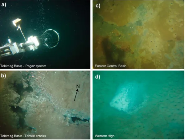 Figure 3. Seabed pictures acquired onboard the Nautile submersible during the Marnaut expedition in 2007 (© Ifremer).