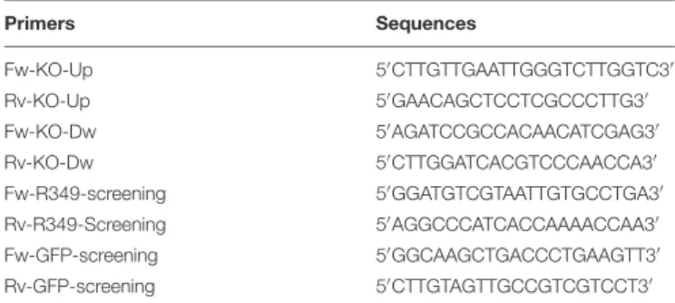 TABLE 1 | Primers used for R349 flanking regions cloning into PLW44 vector.