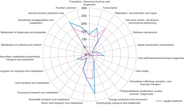 Figure 3. Comparison of the gene content profiles obtained for weight gain or weight protection-associated Lactobacillus, proportional to the size of the genomes (radar plot).