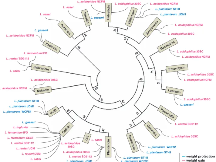 Figure 5. Overview of bacteriocin distribution in Lactobacillus spp. The phylogenetic tree of the bacteriocin sequences identified in the genomes studied was constructed using the Neighbor-Joining method, under the JTT model with 100 bootstrap sampling.