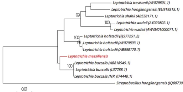 FIG. 2. Positioning of ‘ Leptotrichia massiliensis ’ strain Marseille-P3007 relative to other phylogenetically close strains in phylogenetic tree