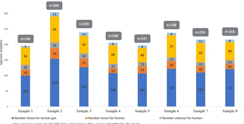 Fig 1. Number of isolated species by sample in culturomics.