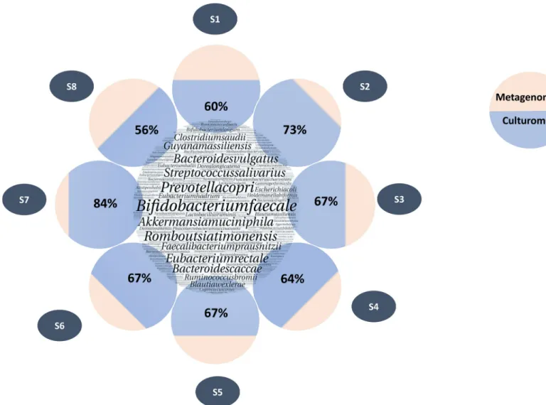 Fig 4. Comparison of read percentages of species identified by culturomics vs metagenomics