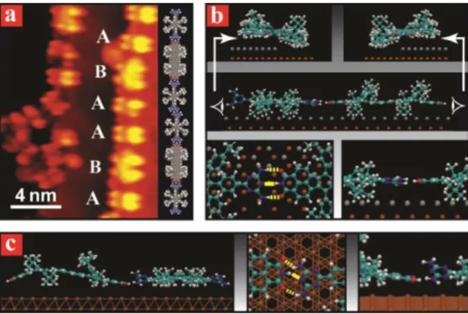 Fig.  2  One-dimensional  structures  formed  from  Lander  DAT  and  DCI  along  the  Au(111)  step  edges