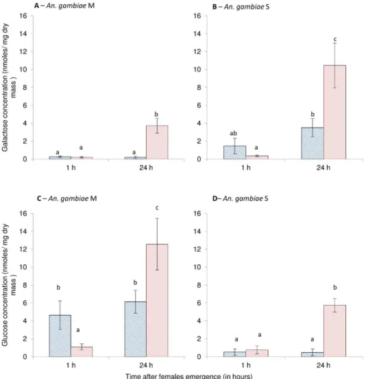 Fig. 6 Mean (±s.e.) galactose (A and B) and glucose (C and D) levels (in nmoles mg −1  dry mass) in 1-h and 24-h-old females of An