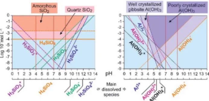 Fig. 7 Nanoparticle size distribution in the studied systems at pH 9.