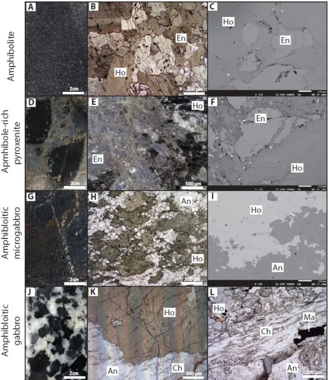 Figure 8: Optic and SEM microphotographs of mineral assemblages in mafic intrusive bedrocks  from N’Go, Nakéty and Tiébaghi