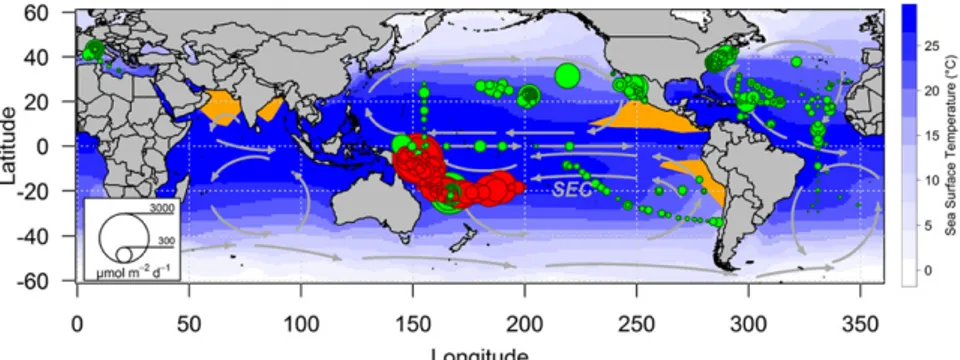 Fig. 1. N 2 fixation in the world ’ s oceans quantified using 15 N 2 incubation-based measurements
