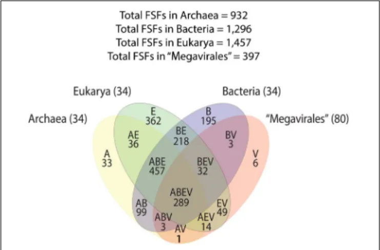 FIGURE 1 | Venn diagram displaying FSF distribution and sharing patterns among Archaea, Bacteria, Eukarya, and Megavirales