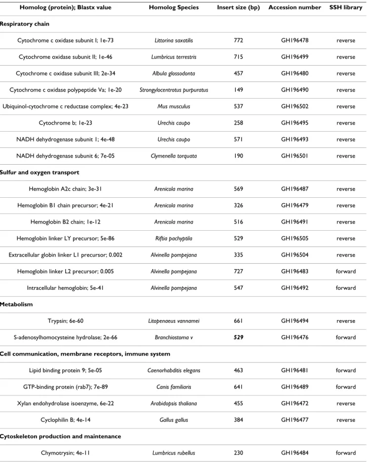 Table 2: Regulated genes identified in the SSH libraries of thermal exposed Paralvinella pandorae irlandei with significant database  matches (E-value above 0.005).