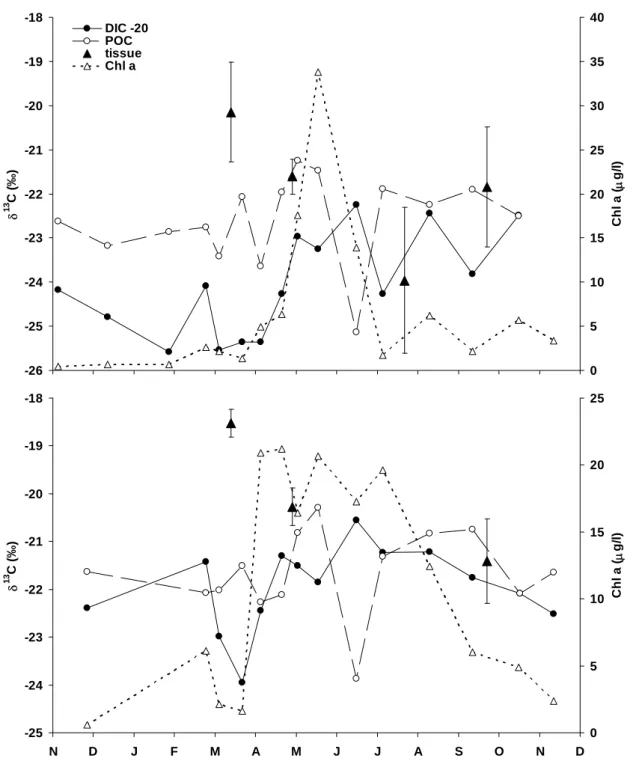 Figure 6. Temporal variations in mantle tissue δ 13 C, δ 13 C POC , δ 13 C DIC–20  (in ‰), and chlorophyll a for  Hooftplaat (A) and Knokke (B) for the period November 2001 to November 2002