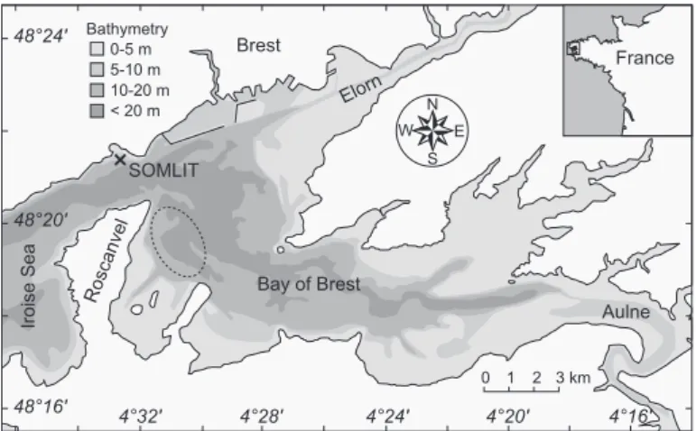 Figure 2: Shell sampling location in the Bay of Brest, north- north-west France (Roscanvel bank: dashed ellipse) and  SOMLIT-Brest water monitoring station (black cross).