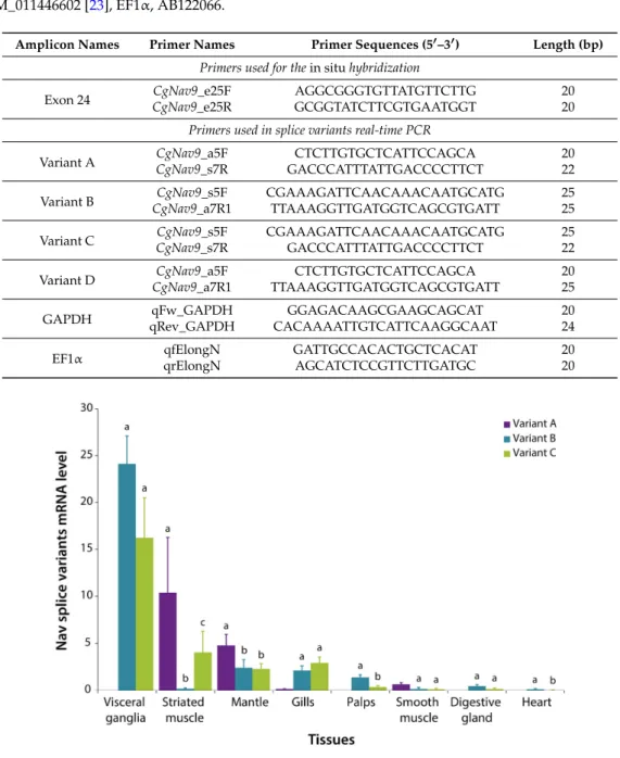 Table 3. Primers used for in situ hybridization and real-time PCR. Accession number: GAPDH, XM_011446602 [23], EF1α, AB122066.