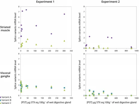 Figure 7. Relationship between CgNav1 splice variants mRNA levels in striated muscle and visceral  ganglia  and  PST  accumulation  in  digestive  gland  of  C.  gigas  oyster  experimentally  exposed  to  Alexandrium minutum (Experiments 1 and 2). 