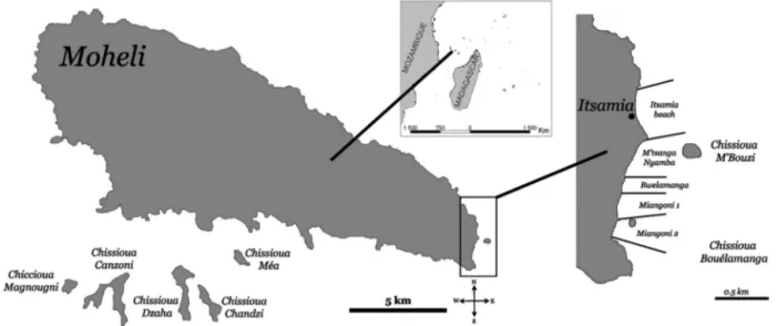 Fig. 1. Moheli (12° 18’ S, 43° 35’ E), smallest of the 4 main islands of the Comoros Archipelago, showing the 5 contiguous beaches (Itsamia beach, M’tsanga nyamba, Bwelamanga, Miangoni 1, and Miangoni 2) that were monitored for tracks 
