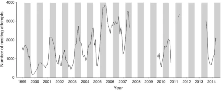 Fig. 2. Monthly time series of female green turtle nesting attempts (based on recorded tracks) on Itsamia beaches, Moheli (January 1999 to December 2014), after interpolation of missing values on daily time series; see Table 1 for details