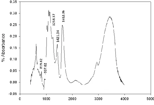 Figure 1. FTIR spectrum of polysaccharide of S. coronopifolius. 