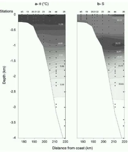 Fig. 6. Two dimensional distributions of potential temperature 2 (a) and salinity S (b) over the slope.