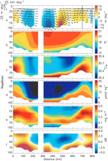 Figure 3. (a) temperature and velocities averaged down to the pycnocline depth. A non-divergent streamline is represented in black, the white star indicating the starting point of the vertical section presented in Figure 4; (b) nitrate, averaged down to th