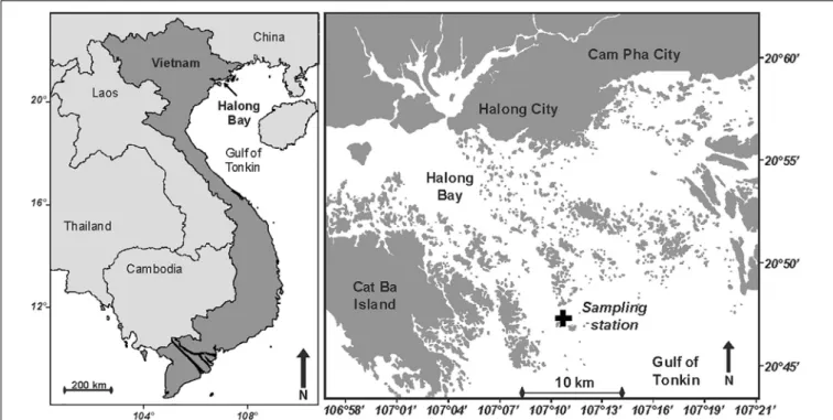 FIGURE 1 | Maps showing the location of Halong Bay in North Vietnam, and the position of the sampling station (20 ◦ 46 0 50 00 N 107 ◦ 10 0 16 00 E; Black cross).
