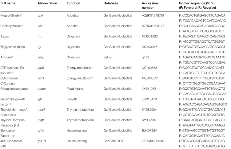 TABLE 1 | Sequences of European eel (Anguilla anguilla) primers used for amplification of genes by qRT-PCR.