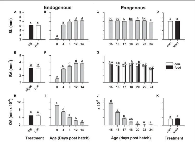 FIGURE 1 | European eel (Anguilla anguilla) larval biometrics during endogenous feeding [algae (alg) vs