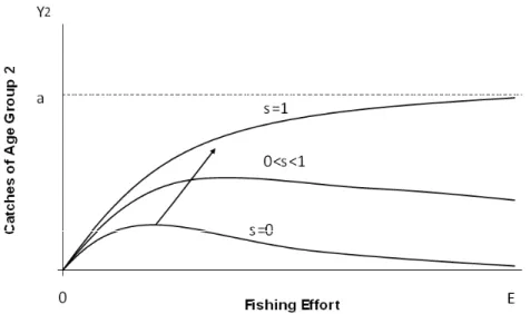 Figure 2.  Catches of Age Group 2 as a Function of Fishing Effort for Different levels of Selectivity s (arrow outlines increasing selectivity)