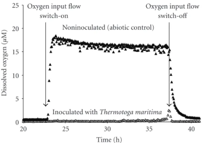 Figure 4: Dissolved oxygen measurements (  ) in a noninoculated bioreactor used as a control and (Δ) in a bioreactor inoculated with T