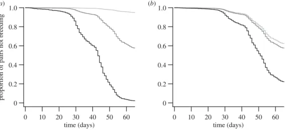 Figure 1. Survival-type curves showing time to laying of first clutches in relation to (a) mean minimum spring temperature and (b) recent rainfall measured over 7 days prior to each day within the observation period