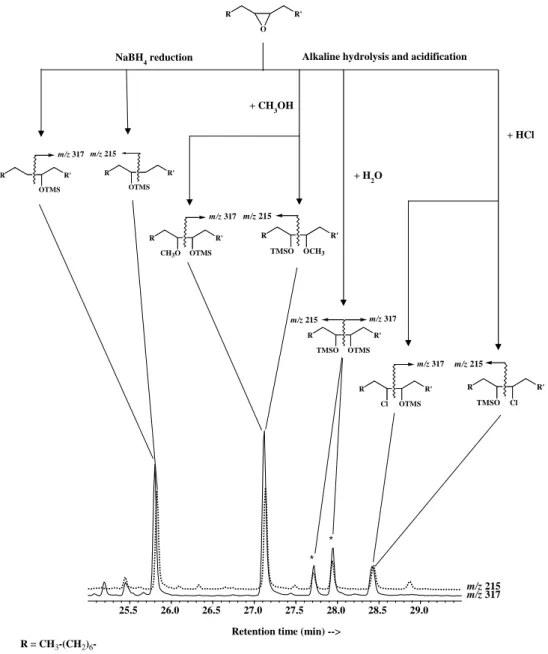 Fig. 8. Compounds resulting from the degradation of 9,10-epoxyoctadecanoic acid during the treatment.