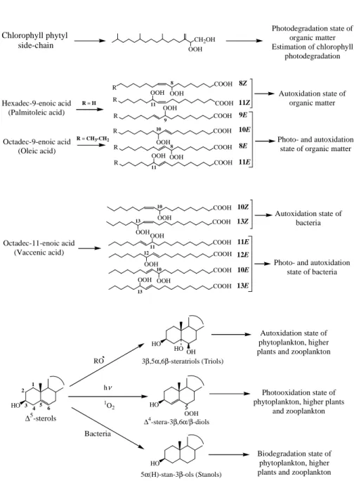 Fig. 2. Formulae and potential applications of the different lipid tracers of degradation processes employed in the present work