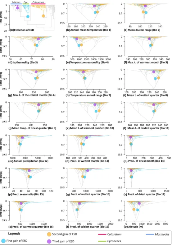 Figure 3.  Evolution of ESD and ancestral climatic-niche preferences in Catasetinae depicted as traitgrams  obtained via ACE analyses of mean values of bioclimatic variables