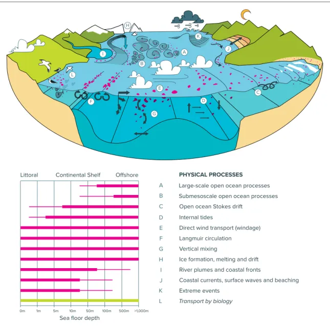 Figure 1. Schematic of the physical processes that affect the transport of plastic ( pink items ) in the ocean ( top panel ) 