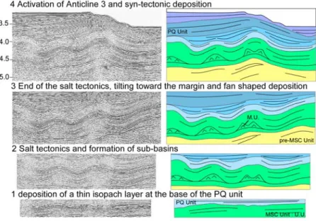 Figure 8. Seismic section and interpretation of a six‐track seismic line located east of Algiers (location in Figure 3)