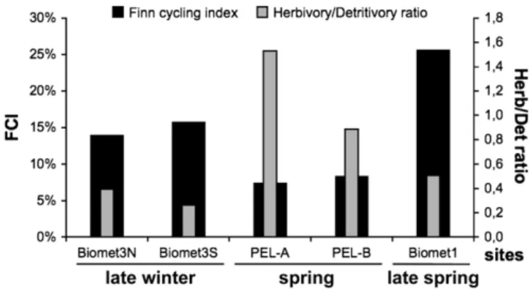 Fig. 6. Finn Cycling Index and herbivory/detritivory ratio, respectively, black and grey bars, within the five models.
