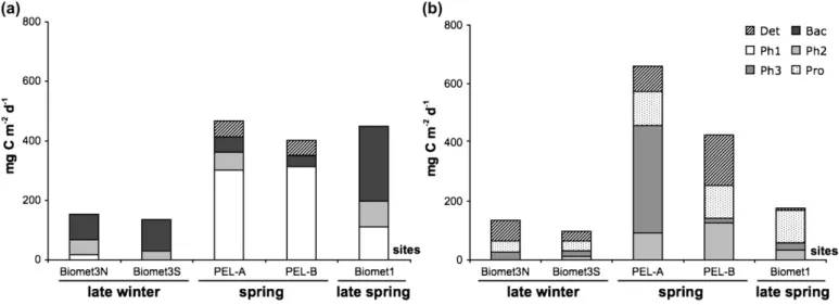 Fig. 5. Contribution of each compartment (mg C m 2 d 1 ) to the consumption of (a) the protozoa and (b) mesozooplankton