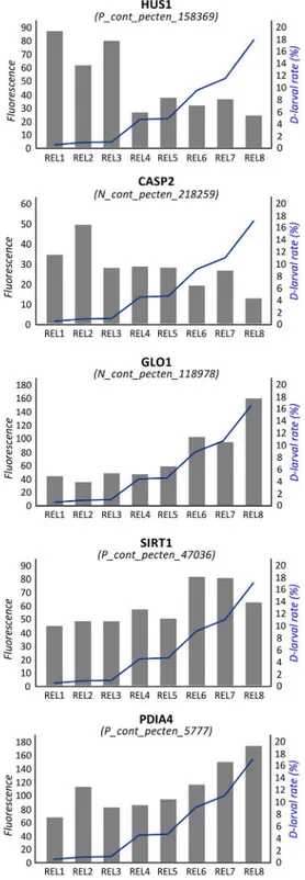 Fig 3. Correlation between gene expression and D-larval rates. Values of fluorescence reported for probes encoding HUS1, CASP2, GLO1, SIRT1 and PDIA4
