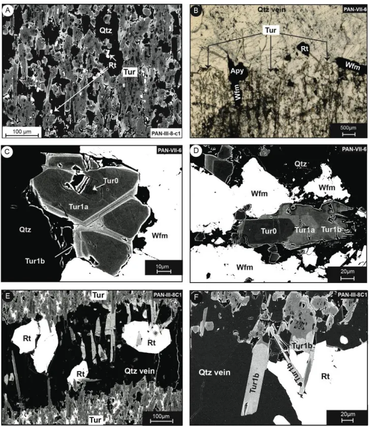 Figure 4.  A. Typical early assemblage in the tourmalinized wall-rock, with Tur1 elongated along (erased) schistosity 