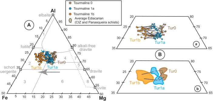 Figure 8.  A. AFM diagram for the Panasqueira tourmaline, with location of the main tourmaline end-members