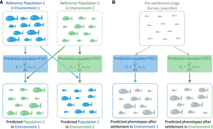 Figure 5. Using genomic prediction for making virtual transplants among different environments