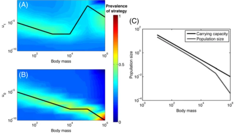 Figure 2 Influence of body mass (in grams) on the prevalence at equilibrium of oncogene activation (u 0 , A) and tumor suppressor gene inactivation strategies (u 1 , B)