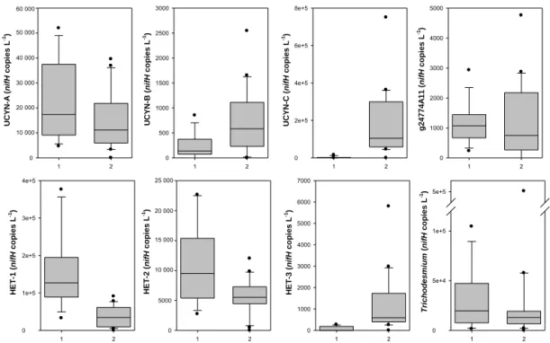 Figure 11 : Boxplots of the main diazotrophs groups in nifH gene copies L -1  in the three mesocosms during  the two periods P1 and P2